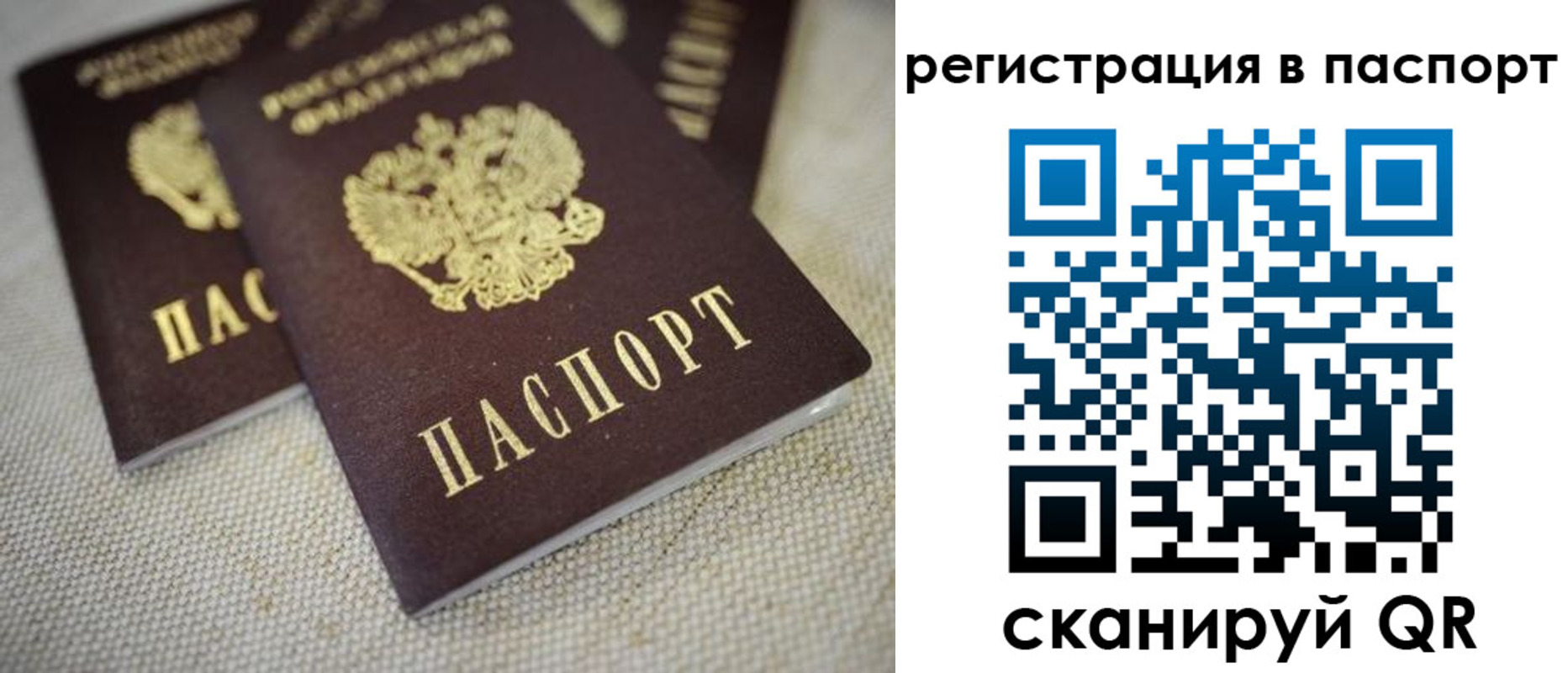 прописка гарантия в Пестово